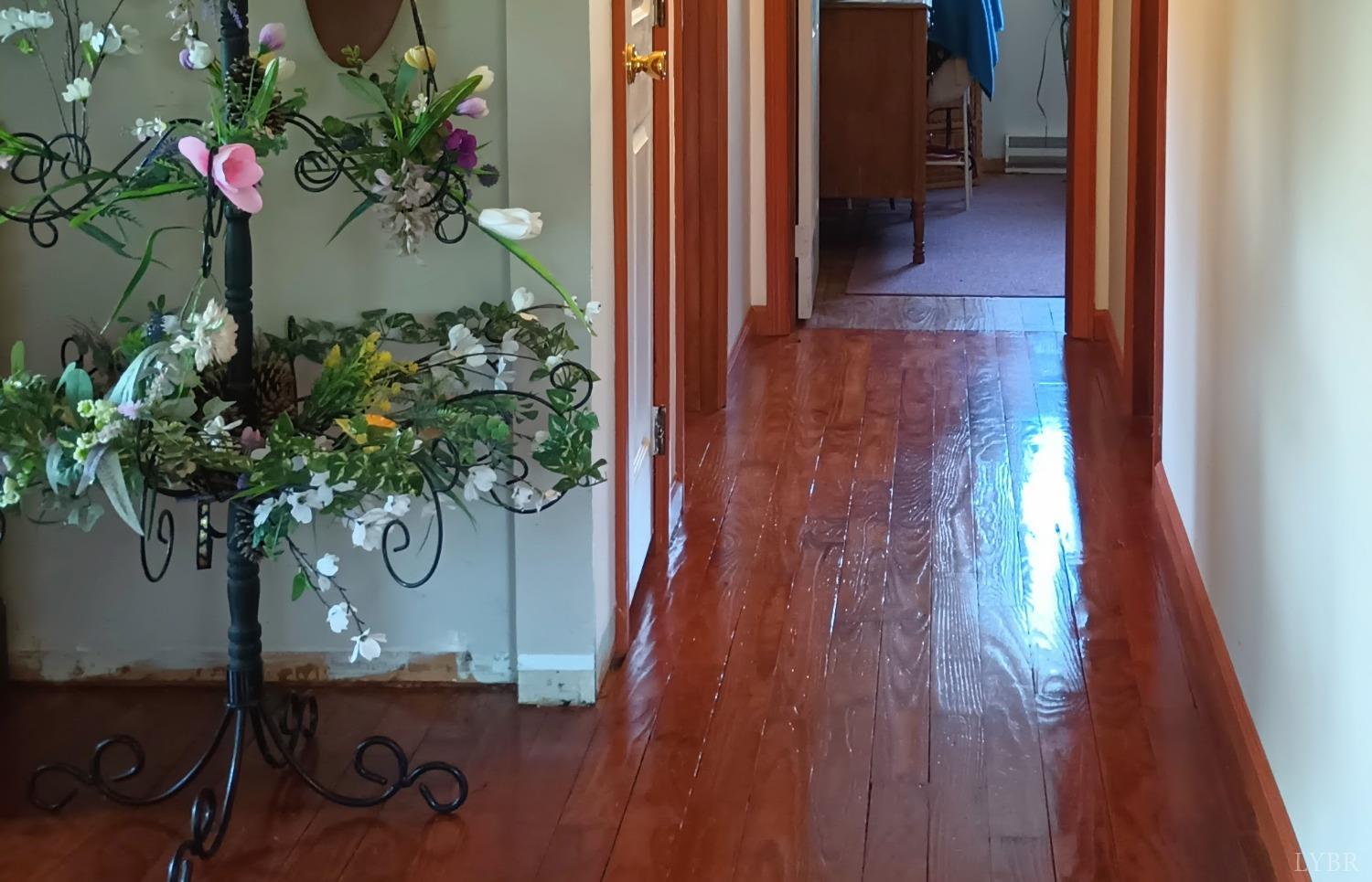 983 Williamstown Road, Shipman, Virginia image 14