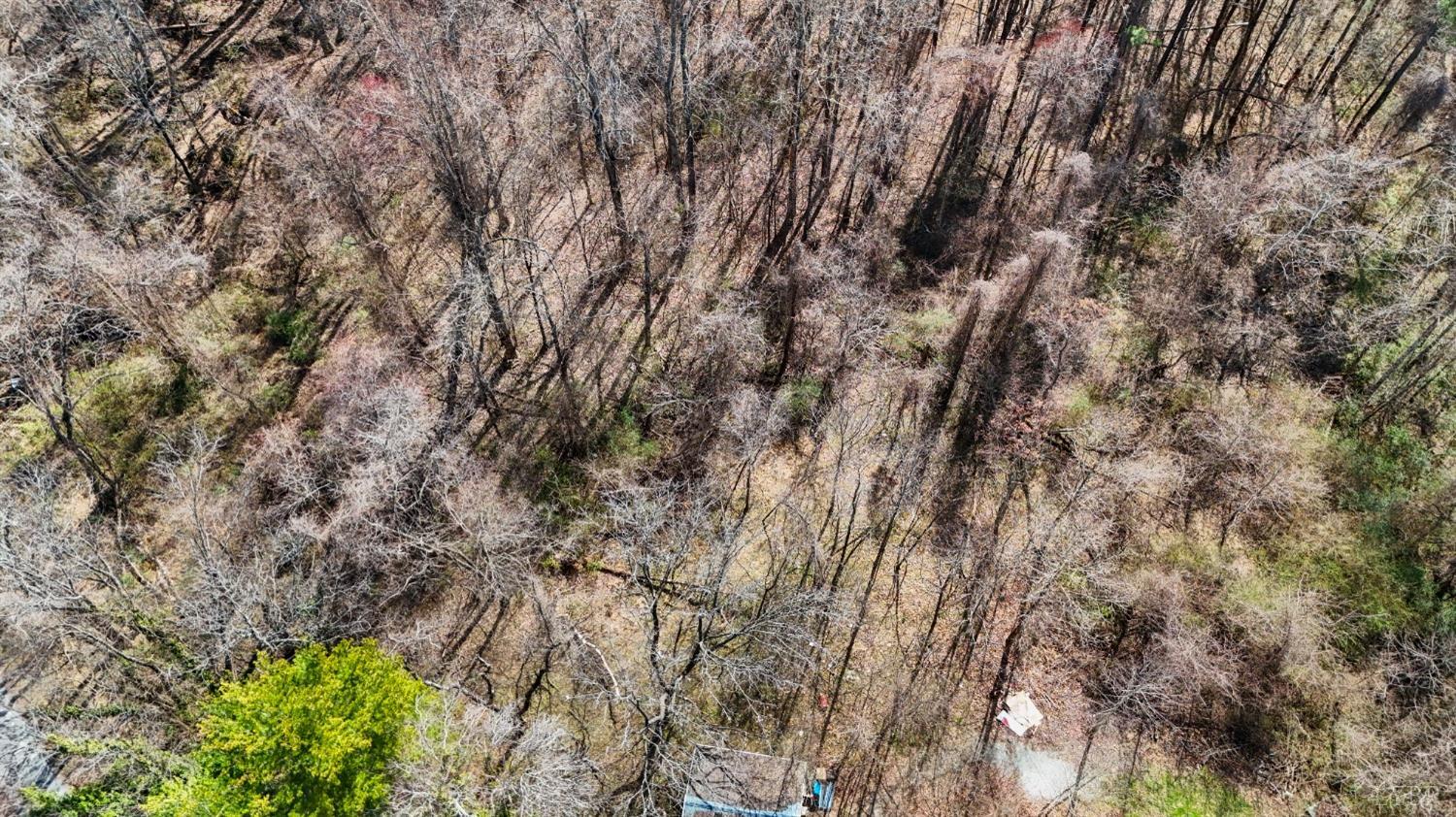 196 Carson Ln. Ln, Crewe, Virginia image 29
