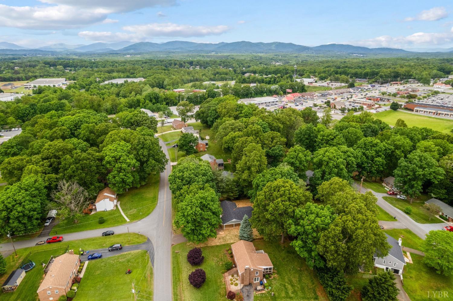 112 Forest Dale Drive, Forest, Virginia image 45