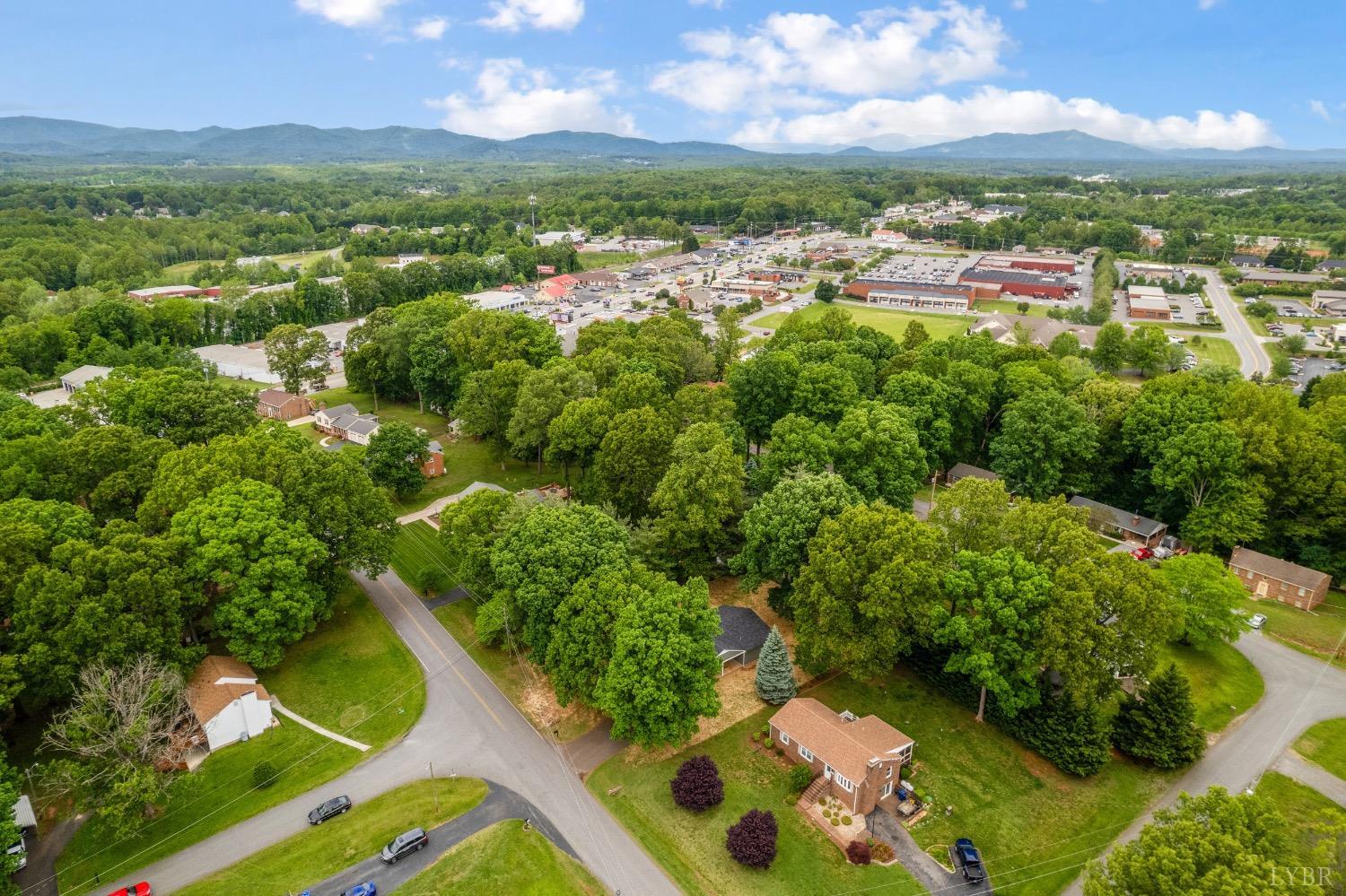 112 Forest Dale Drive, Forest, Virginia image 46