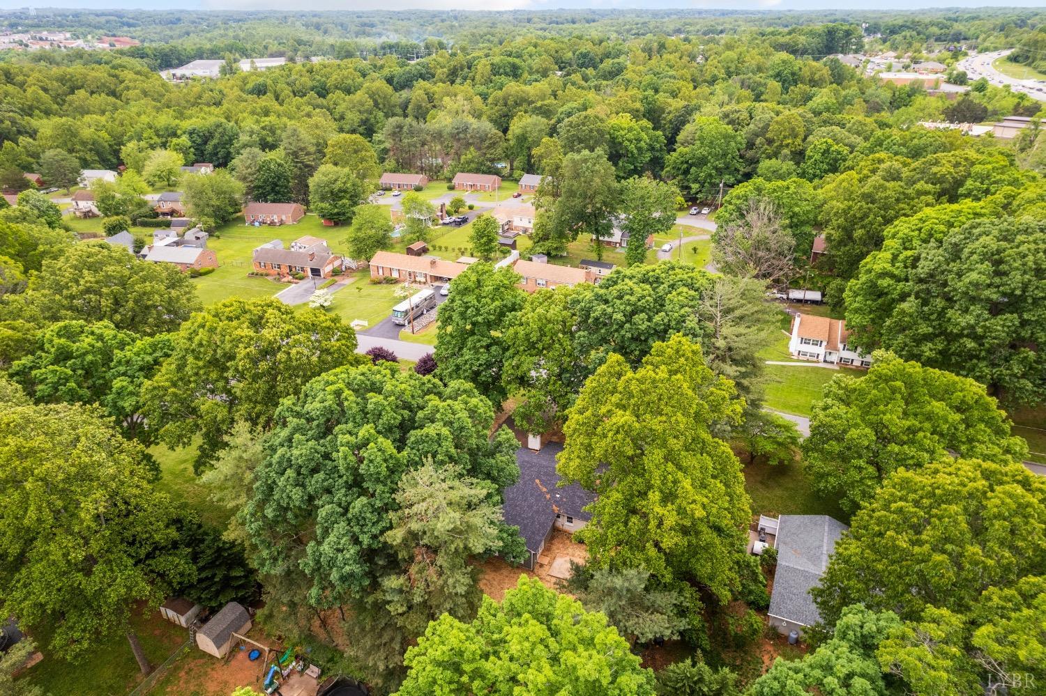 112 Forest Dale Drive, Forest, Virginia image 47