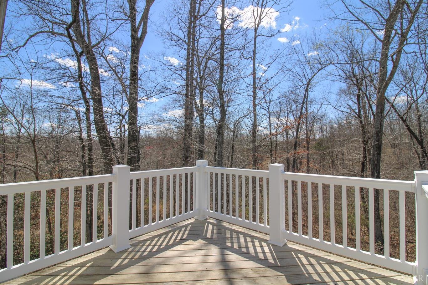 268 Oak Spring Lane, Madison Heights, Virginia image 31