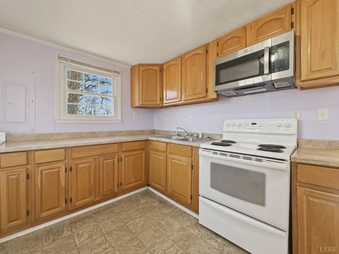 Tiny photo for 10368 Spring Mill Road, Concord, VA 24538 (MLS # 365320)