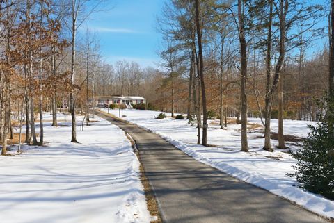 Tiny photo for 214 Victoria Dr Dr, Amherst, VA 24521 (MLS # 364448)