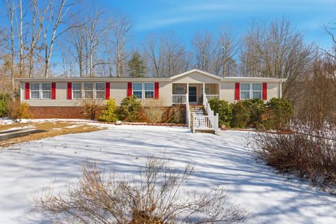 Tiny photo for 214 Victoria Dr Dr, Amherst, VA 24521 (MLS # 364448)