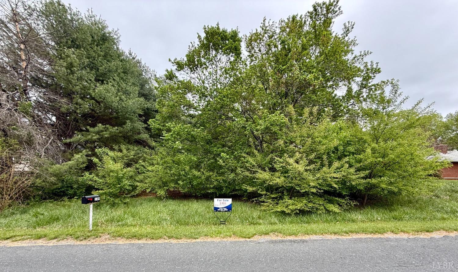 Lakeside Drive, Lynchburg, Virginia image 1