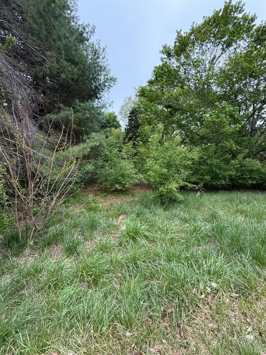 Lakeside Drive, Lynchburg, Virginia image 2