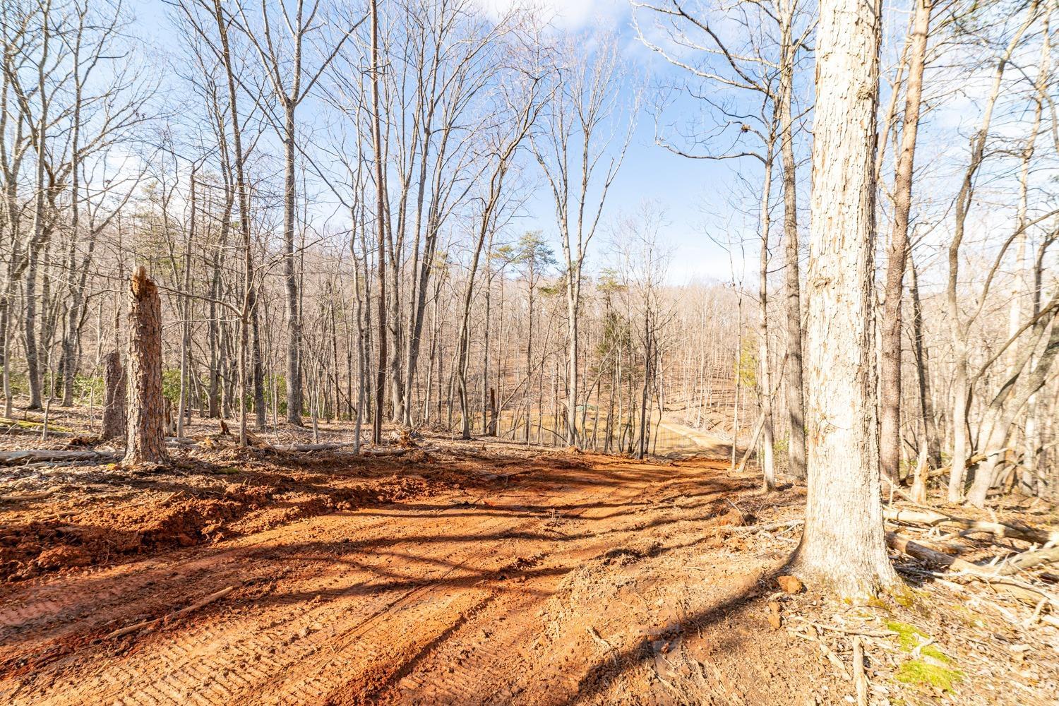 2 Venturous Trail, Goode, Virginia image 3