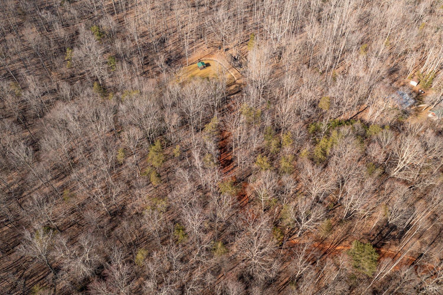 2 Venturous Trail, Goode, Virginia image 8