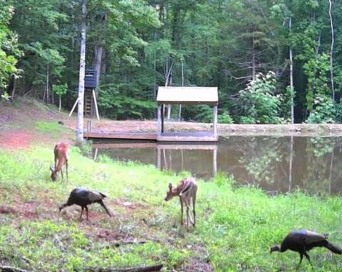 Tiny photo for 2 Venturous Trail, Goode, VA 24556 (MLS # 358966)