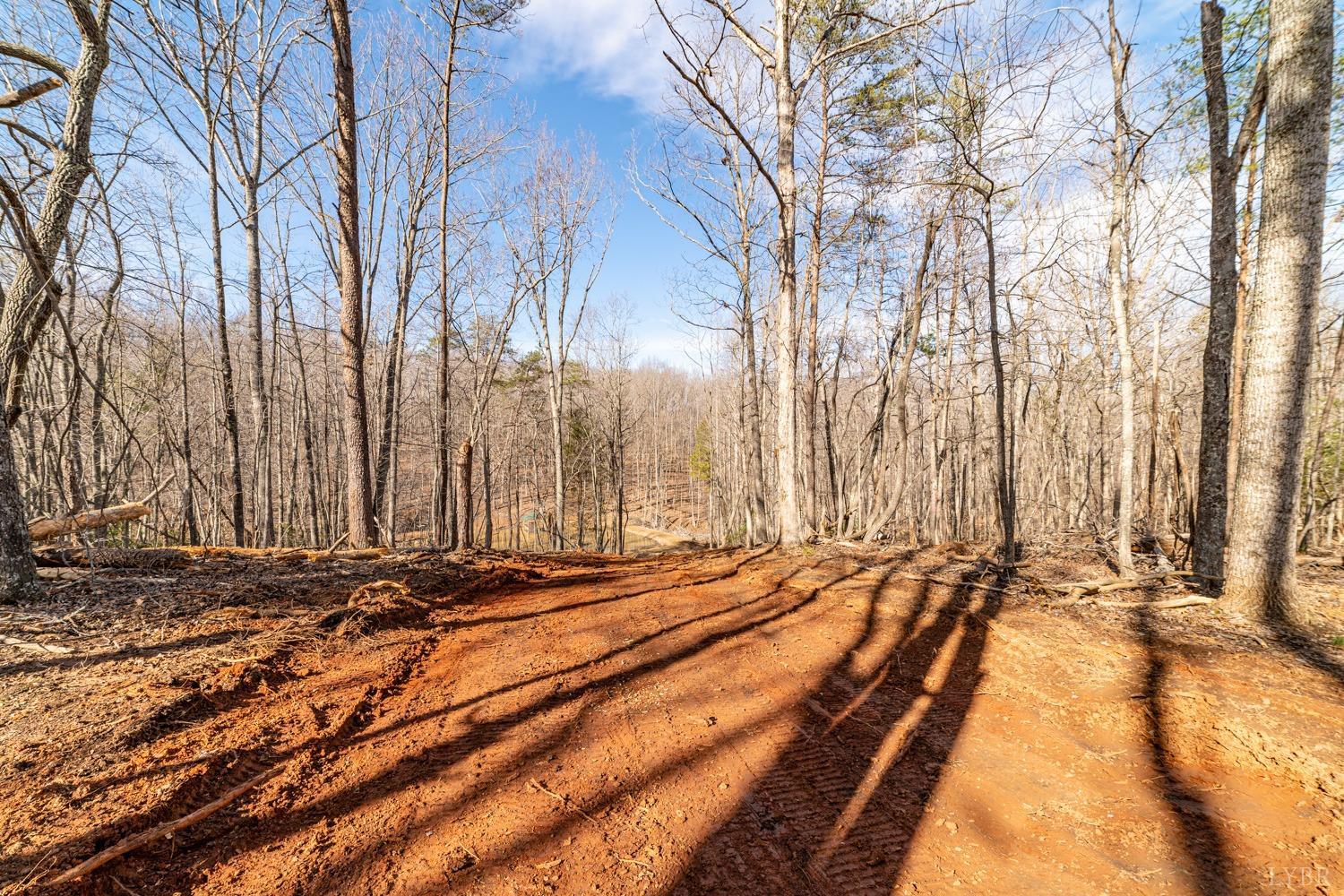 2 Venturous Trail, Goode, Virginia image 5