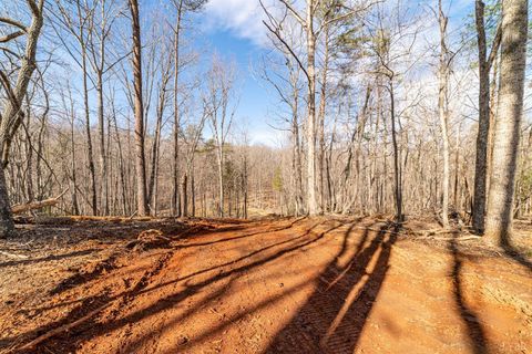 Tiny photo for 2 Venturous Trail, Goode, VA 24556 (MLS # 358966)