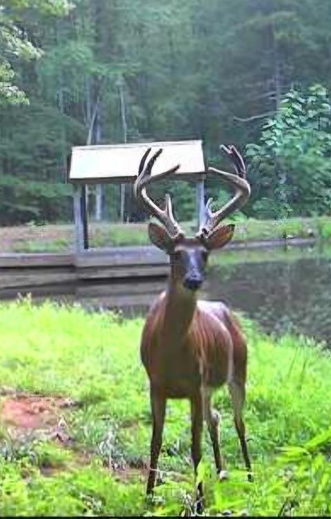 Tiny photo for 2 Venturous Trail, Goode, VA 24556 (MLS # 358966)