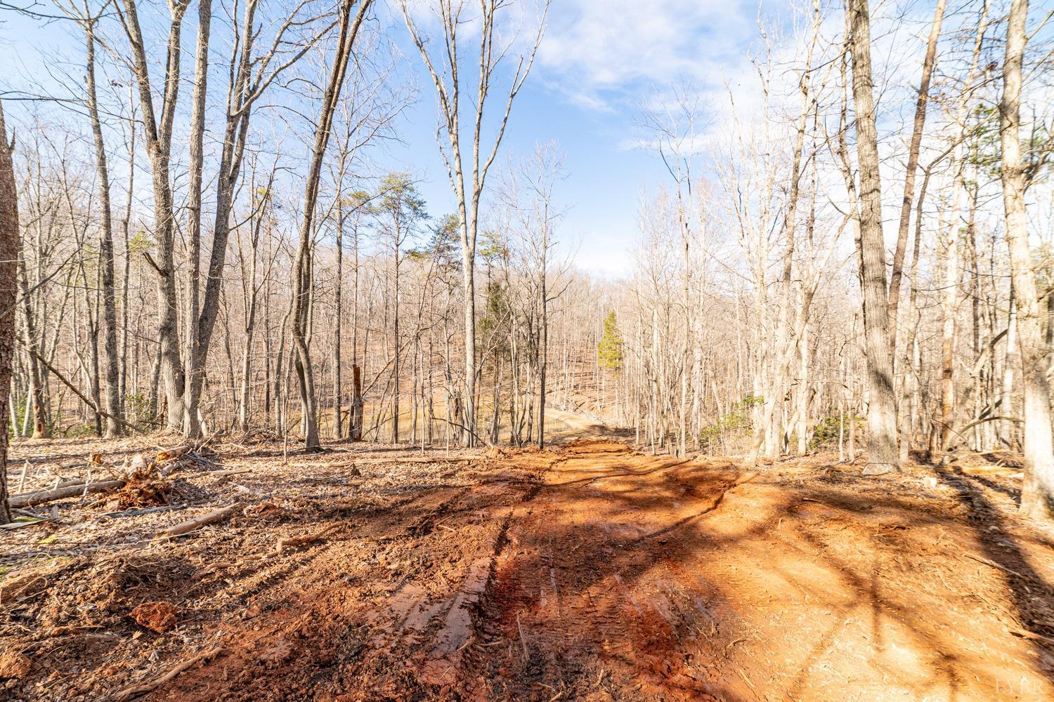 2 Venturous Trail, Goode, Virginia image 4