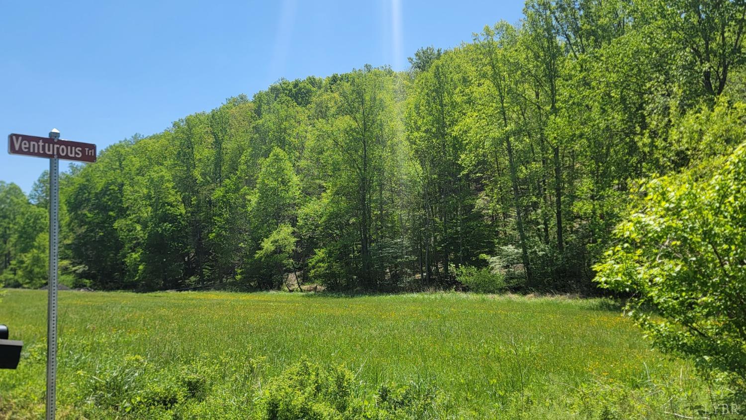 2 Venturous Trail, Goode, Virginia image 17