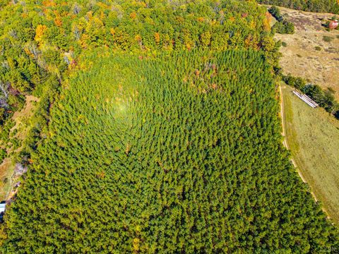 Tiny photo for 614 New Chapel Road, Rustburg, VA 24588 (MLS # 362511)