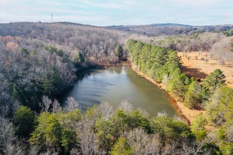 Vacant Land For Sale - Main Street<br/> Hurt, VA 24563