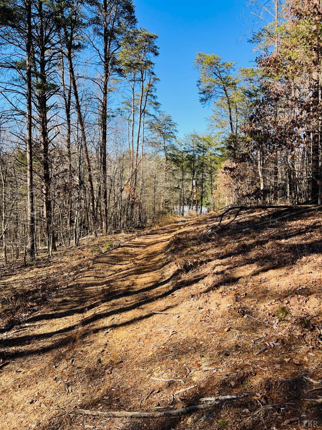 Main Street, Hurt, Virginia image 17