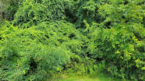 Tiny photo for 0 South Amherst Highway, Monroe, VA 24574 (MLS # 362100)