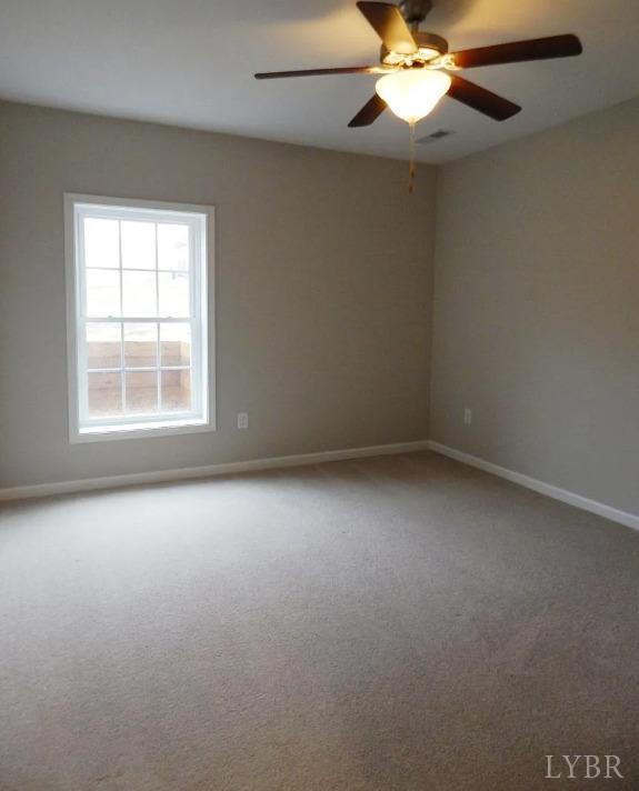 289 Todd Lane, Madison Heights, Virginia image 6