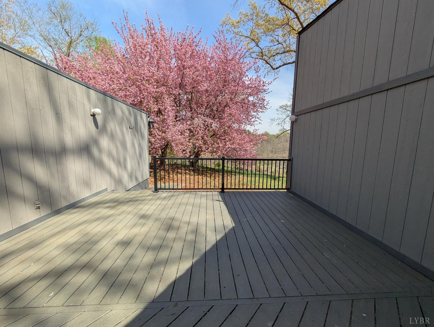 1077 Audubon Drive, Lynchburg, Virginia image 32