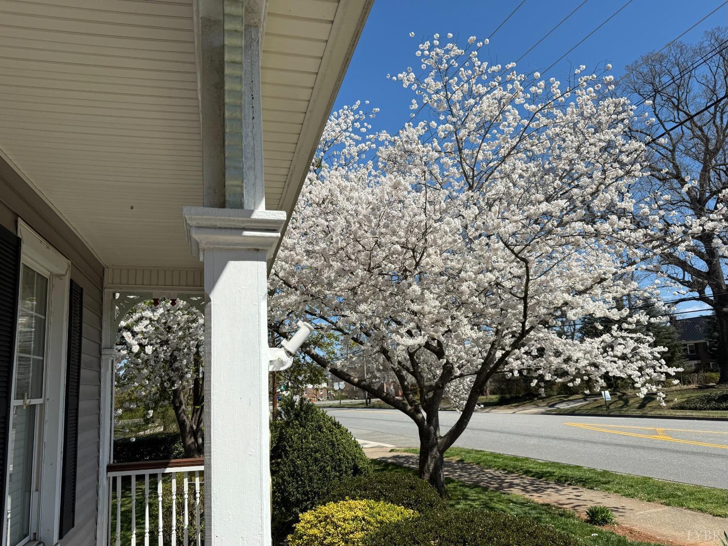 805 Longwood Avenue, Bedford, Virginia image 4
