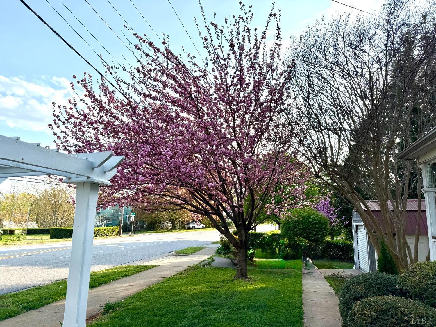 805 Longwood Avenue, Bedford, Virginia image 5