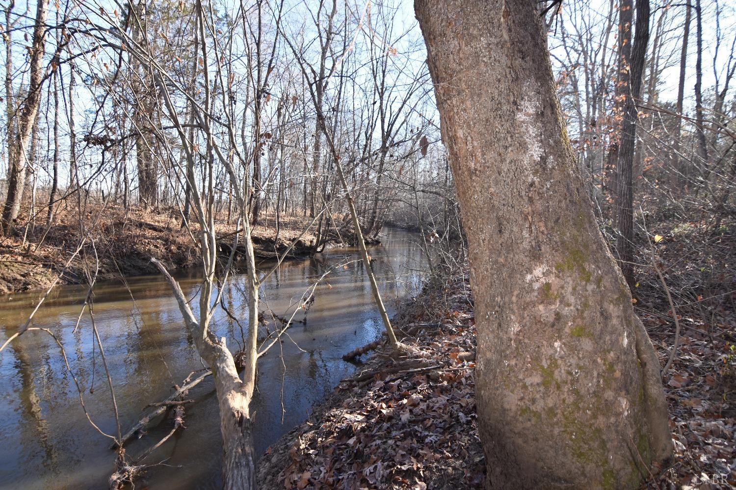 Plank Road, Dillwyn, Virginia image 17