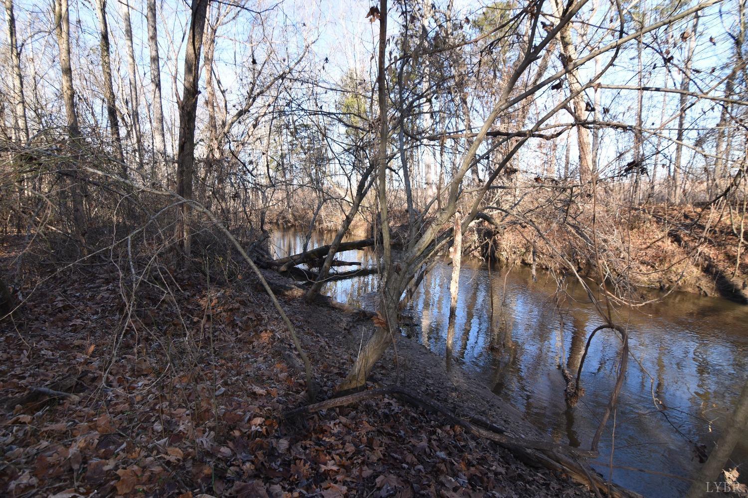 Plank Road, Dillwyn, Virginia image 16