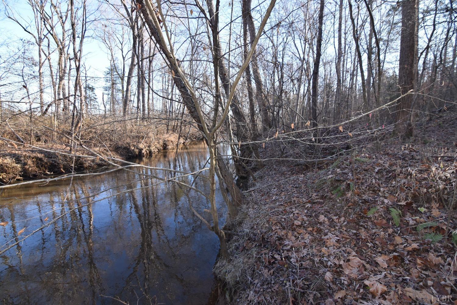 Plank Road, Dillwyn, Virginia image 13