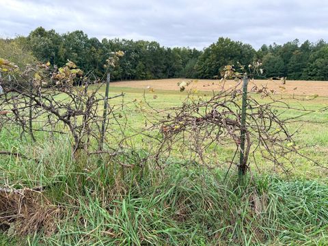 Tiny photo for 8147 Red House Road, Phenix, VA 23959 (MLS # 362518)