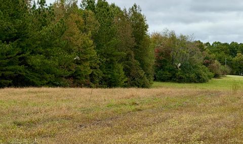 Tiny photo for 8147 Red House Road, Phenix, VA 23959 (MLS # 362518)