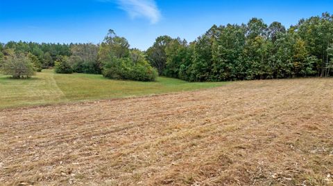 Tiny photo for 8147 Red House Road, Phenix, VA 23959 (MLS # 362518)
