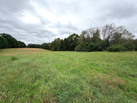 Tiny photo for 8147 Red House Road, Phenix, VA 23959 (MLS # 362518)