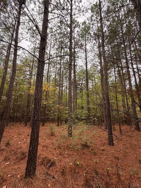 Tiny photo for 8147 Red House Road, Phenix, VA 23959 (MLS # 362518)