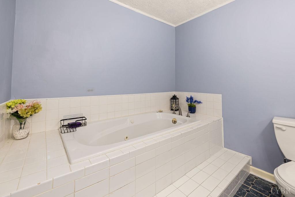 115 Mattiponi Drive, Madison Heights, Virginia image 31