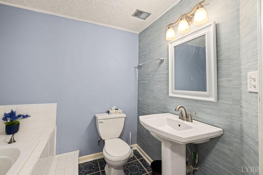 115 Mattiponi Drive, Madison Heights, Virginia image 32