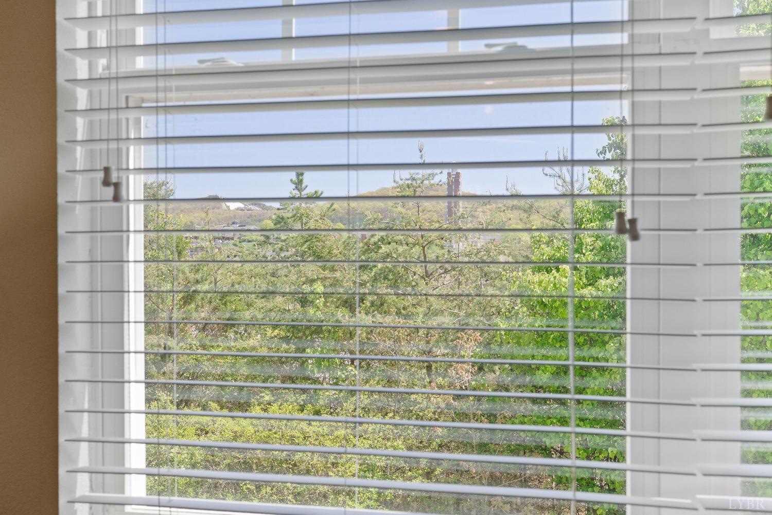 1600 Wards Ferry Rd #802, Lynchburg, Virginia image 14