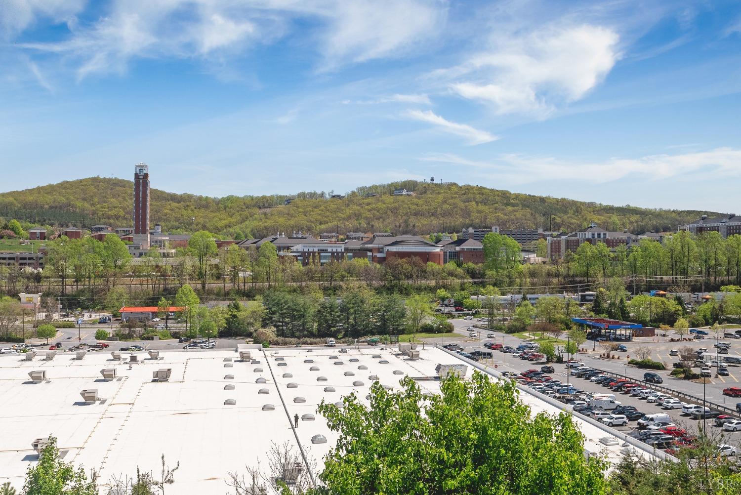 1600 Wards Ferry Rd #802, Lynchburg, Virginia image 34