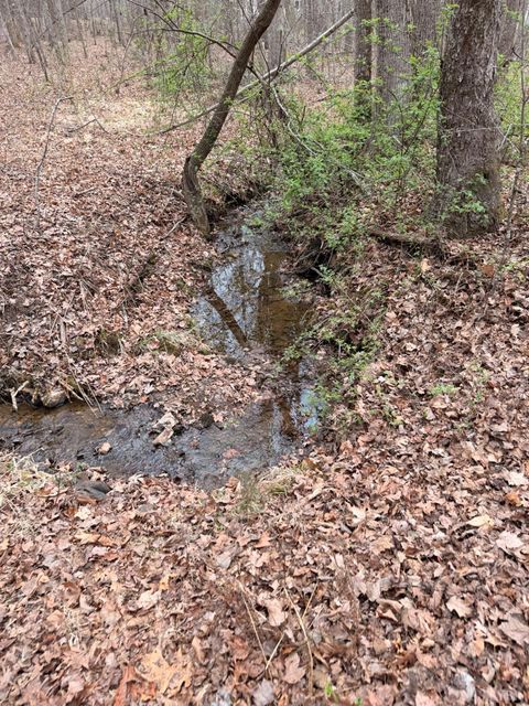 Tiny photo for 0 Howards Manor Drive, Rustburg, VA 24588 (MLS # 365945)