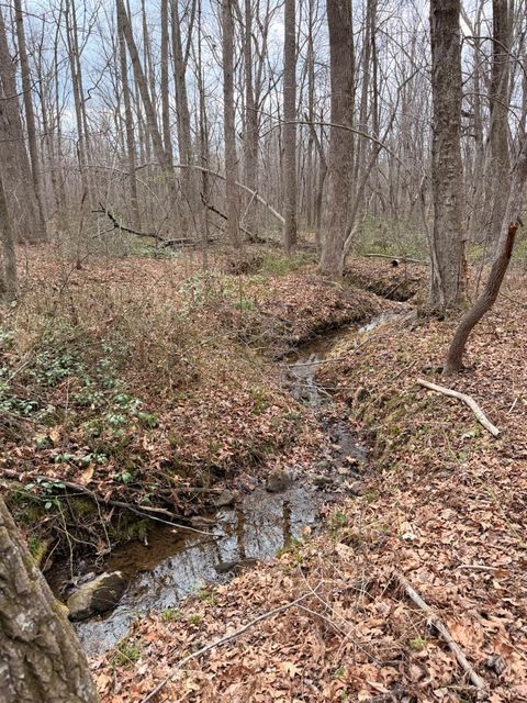 Tiny photo for 0 Howards Manor Drive, Rustburg, VA 24588 (MLS # 365945)