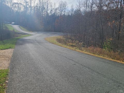 Tiny photo for 1231 Little Bear Lane, Spout Spring, VA 24593 (MLS # 363120)