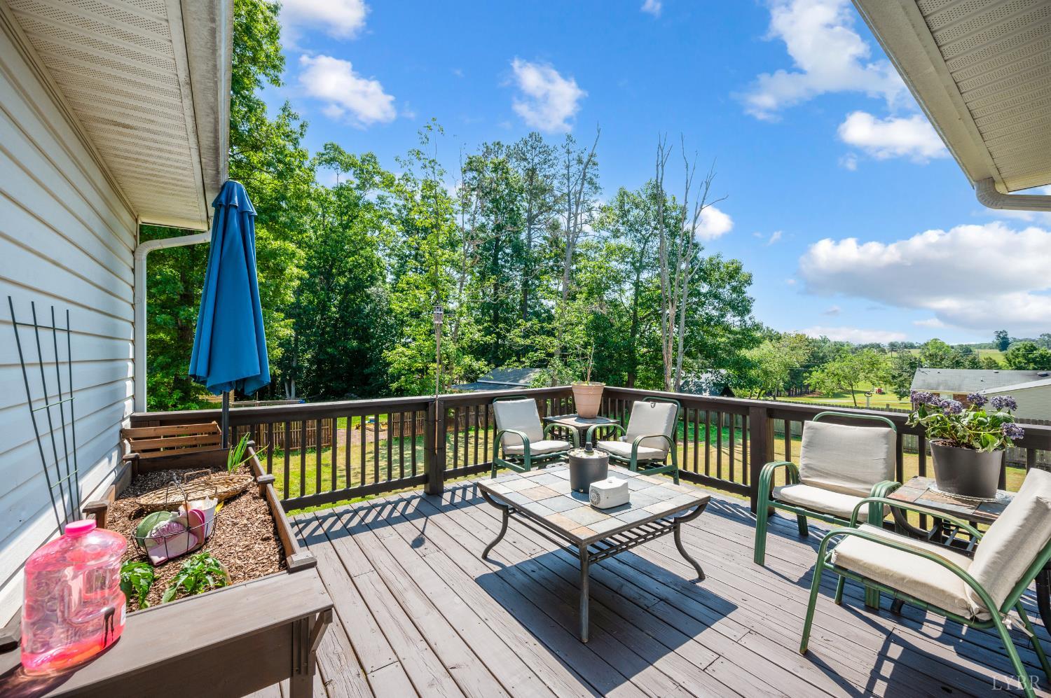 343 Soybean Drive, Appomattox, Virginia image 33
