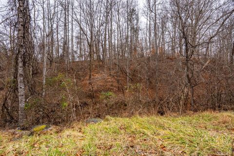 Tiny photo for 387 reusens Road, Lynchburg, VA 24503 (MLS # 363890)