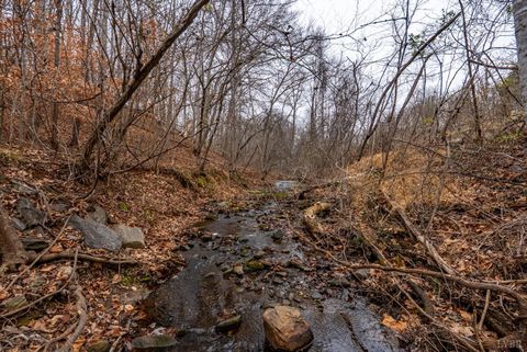 Tiny photo for 387 reusens Road, Lynchburg, VA 24503 (MLS # 363890)