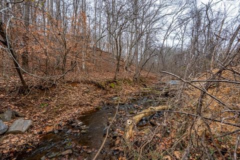 Tiny photo for 387 reusens Road, Lynchburg, VA 24503 (MLS # 363890)