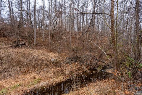 Tiny photo for 387 reusens Road, Lynchburg, VA 24503 (MLS # 363890)
