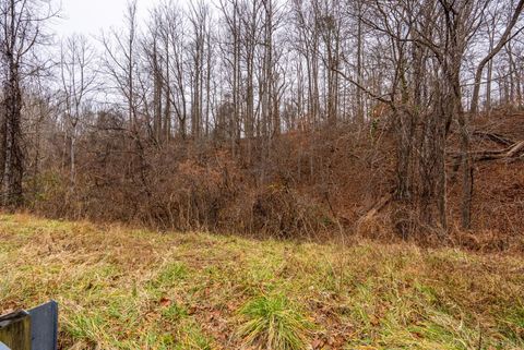 Tiny photo for 387 reusens Road, Lynchburg, VA 24503 (MLS # 363890)
