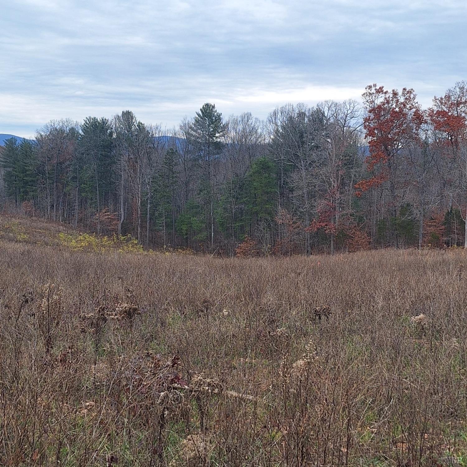 Fox Hall Drive, Amherst, Virginia image 1