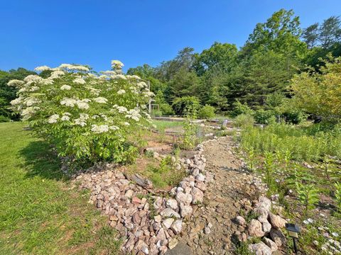 Tiny photo for 1494 Buffalo Mill Road, Evington, VA 24550 (MLS # 365884)